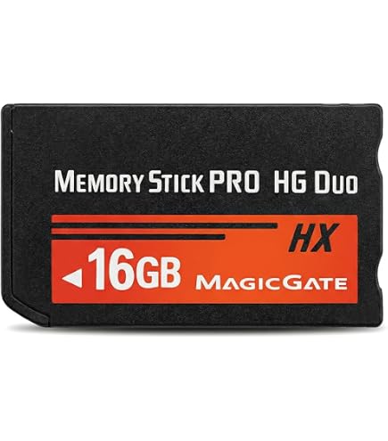 Amazon.com: Sony 16GB MS PRO-HG Duo HX High Speed Memory Stick