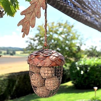 Charming Acorn Design Ball Hanging Bird Feeder Amazon Co Uk