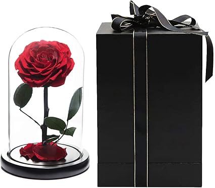 Yamonic Rose Eternelle Avec De Vrais Petales Tombes En Dome De Verre De Luxe Cadeau Fait