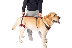 COODEO Mobility Dog Lift Harness, Support Sling for Dog, Dog Walking Sling, Pet Rear Leg Support Rehabilitation Lifts Vest, Dog Carrier for Senior Dogs with Arthritis, Up Stair (Red, L)