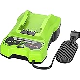 Greenworks 24V Battery Charger, CAF806, Green