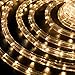 WYZworks 576LEDs, 50ft LED Warm White Rope Light, Connectable Outdoor Permanent Waterproof Accent Exterior Lighting, Flexible Clear PVC, ETL Certified, Holiday, Backyard Patio, Home, Décor