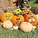 TOYMYTOY Halloween Pumpkin Stickers Halloween Pumpkin Decorations Halloween Party Stickers Trick or Treat Party Favors Goodie Bag Filler 32PCS
