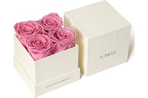 Rosaura 4-Piece Eternal Preserved Roses & Flowers Gift Box - Forever Lasting Real Roses, Preserved Flowers for Valentine's Day Pink