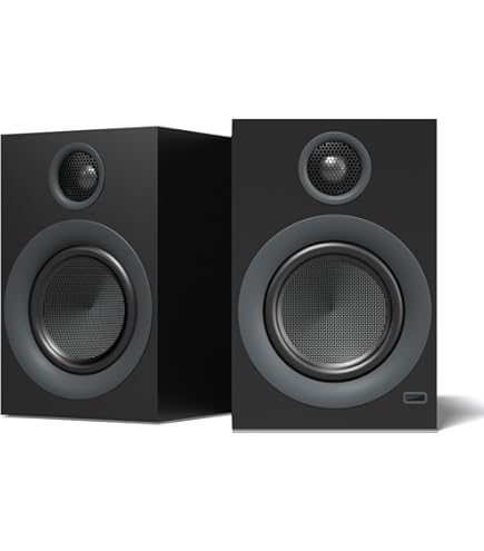 Amazon.com: NZXT Relay PC Gaming Desktop Speakers - AP-SPKB2