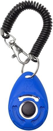 chicken clicker training