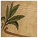 Palm Leaf Faux Leather Lamp Shade 9X18x13 (Spider)
