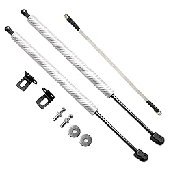 Lift Supports for Honda Accord 10th 2018-2023 Front