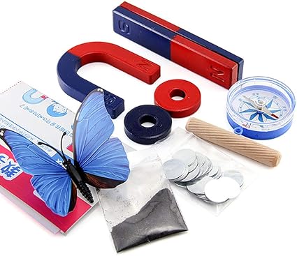 Labs - Juego de 9 imanes para experimentos científicos y educativos para niños, incluye anillos, imanes, brújula, juego de 9: Amazon.es: Oficina y papelería
