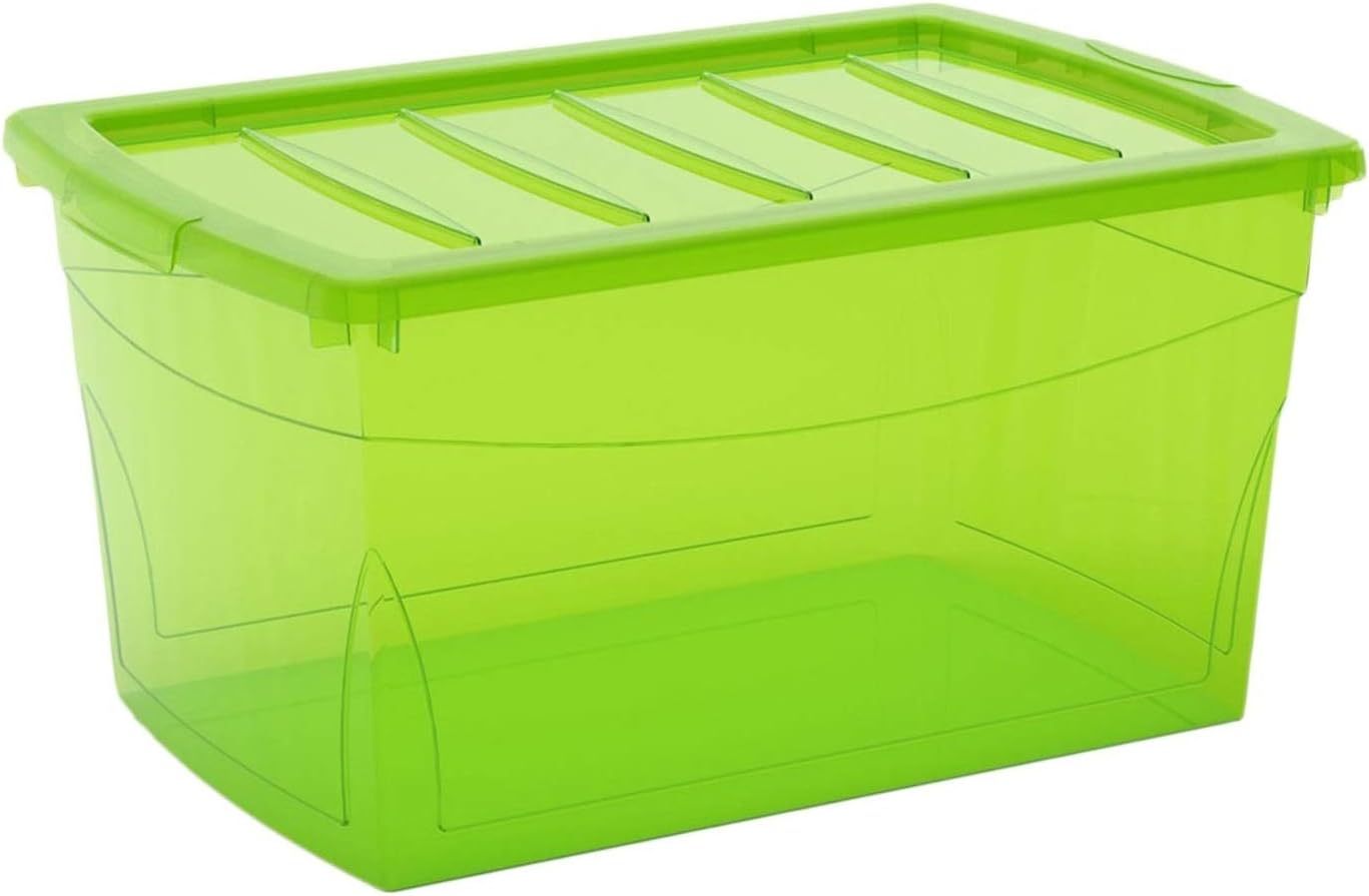 Kis Caja de Almacenamiento, Omnibox L Verde: Amazon.es: Hogar