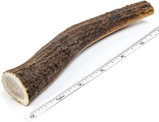 elk antlers for puppies