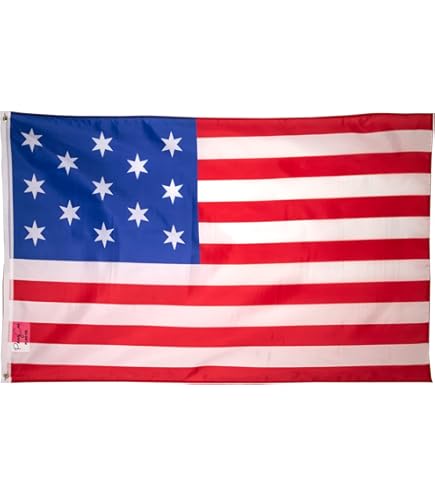 Amazon.com : AES 3x5 USA Historical (1896-1908) 45 Stars USA Flag