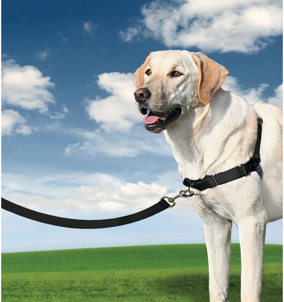 Pet Safe Easy Walk Dog Harness, Large, Black - Image 3