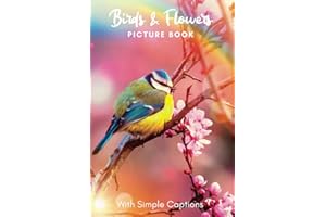 Picture Book of Flowers & Birds: Gift for dementia patients and seniors living with Alzheimer’s disease. Large print for adul