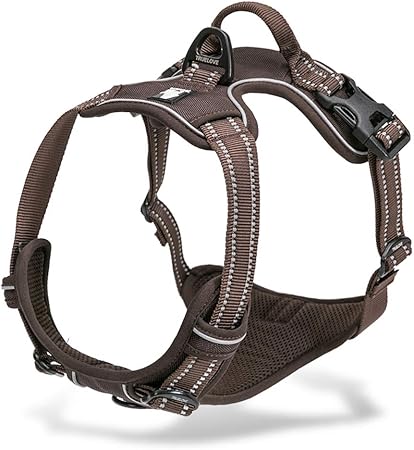chai dog harness