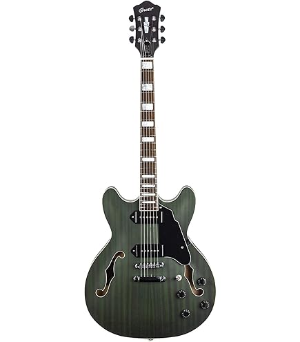 Amazon.com: Epiphone EXCLUSIVE Shinichi Ubukata ES-355, Olive Drab