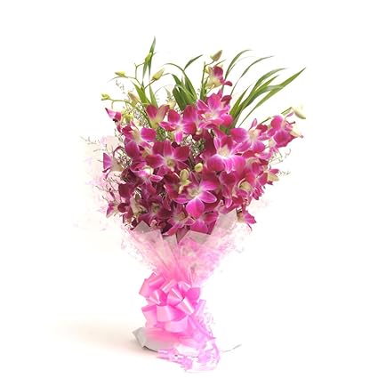 Floralbay Bunch of 8 Purple Orchids in Cellophane Packing
