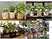 OrganizerPro Jute Storage Baskets Dual Handles Woven Storage Basket Floor Bin Pot Plant Cover Basket Belly Baskets Rope Basket, Nursery Baskets & Baby Room Baskets, Planter Basket