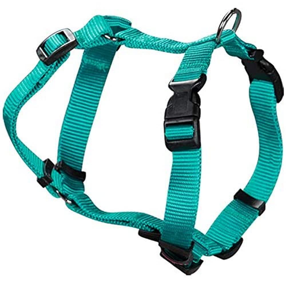 Arppe Arnés Nylon Basic, Turquoise — image 1