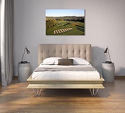 Oakmont Country Club Golf Courses Wall Art for