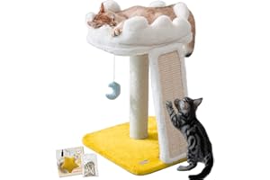 Happi N Pets New Cloud Cat Tree Tower, Cat Scratching Post with Bed, Small Cat Tree, Compact Cat Tower with Scratching Pad & Cloud Soft Perch & Cute Toys, Extra Toy, Bounus Catnip