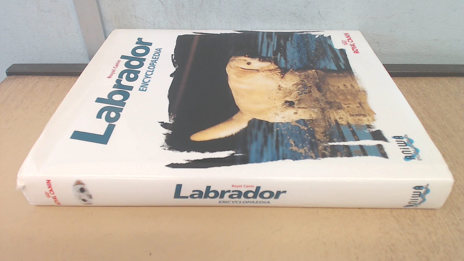 amazon royal canin labrador