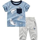 BINIDUCKLING Boy Short Sleeve T-Shirt and Shorts Kid 2 Pcs Summer Clothes 2-7 Years