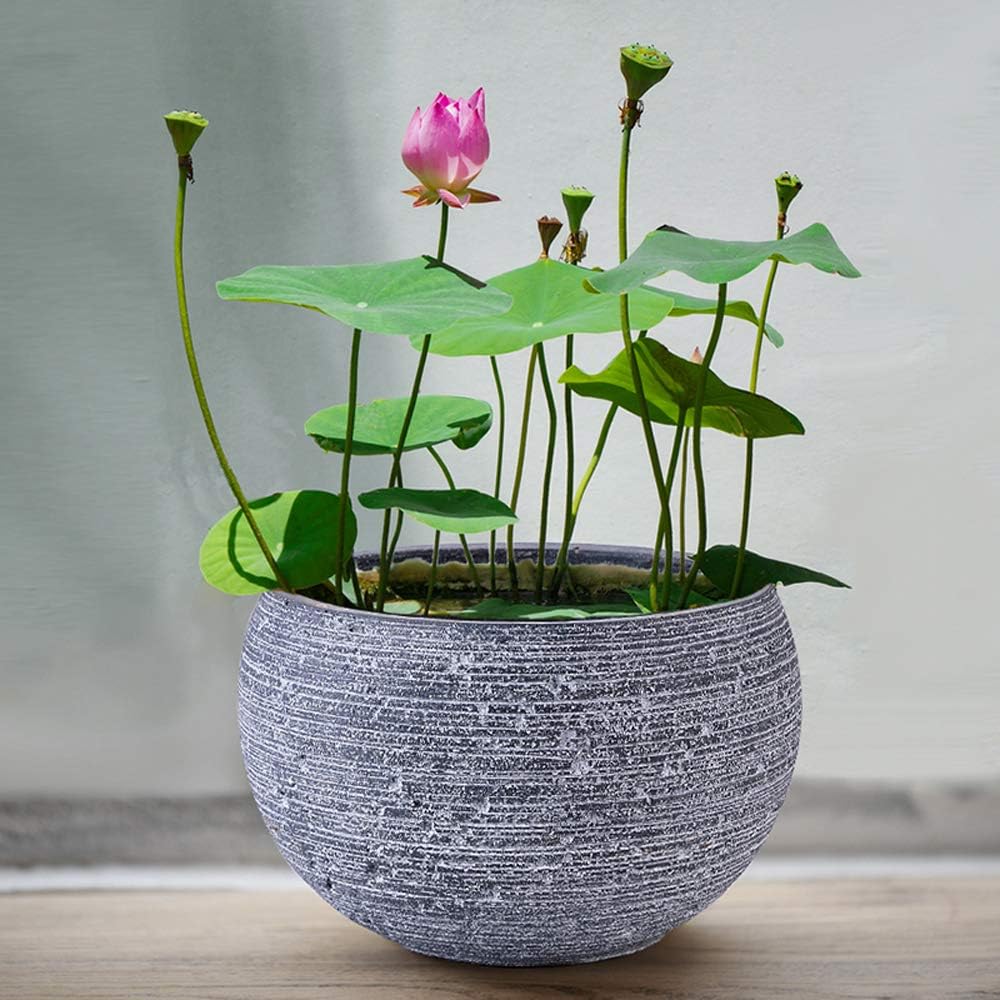 Lotus Planters For Indoor Plants Ceramic Lotus Bowl Planter - Leak-Proof  Hydroponic Pot For Indoor Plants & Water Gardens Leak-proof Flower Bowl