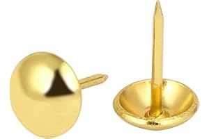 ZAYI 25mm(1inch) Gold Antique Upholstery Nails, Round Large-Headed Nail, Gold Furniture Tacks for Furniture Cork Board Wooden Furniture Decorative DIY Projects 30Pcs (Gold, 1")