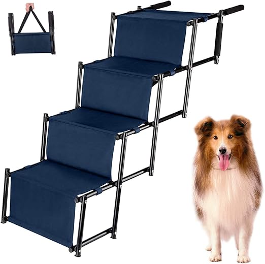 miconahex triz shampoo amazon