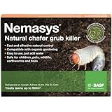 Nemasys Chafer Grub Killer 100 Sqm Buy Online In Uae Outdoors