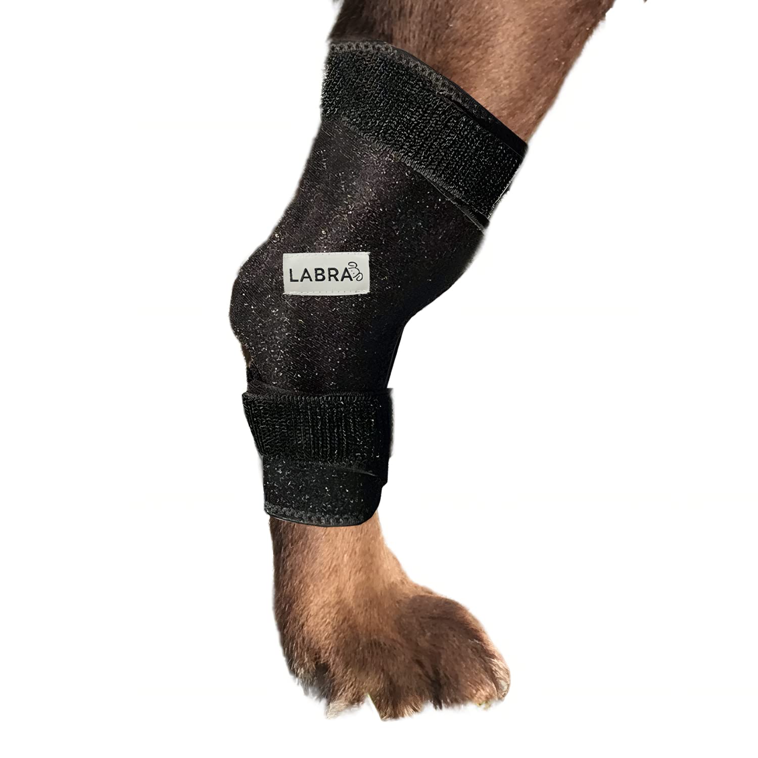 Photo 1 of Labra Dog Canine K9 Ice Heat Cold Hot Pack Therapy Compression Leg Wrap - Pain Relief Arthritis Brace for Sprained, Injured Joints, Vet Approved - Large
