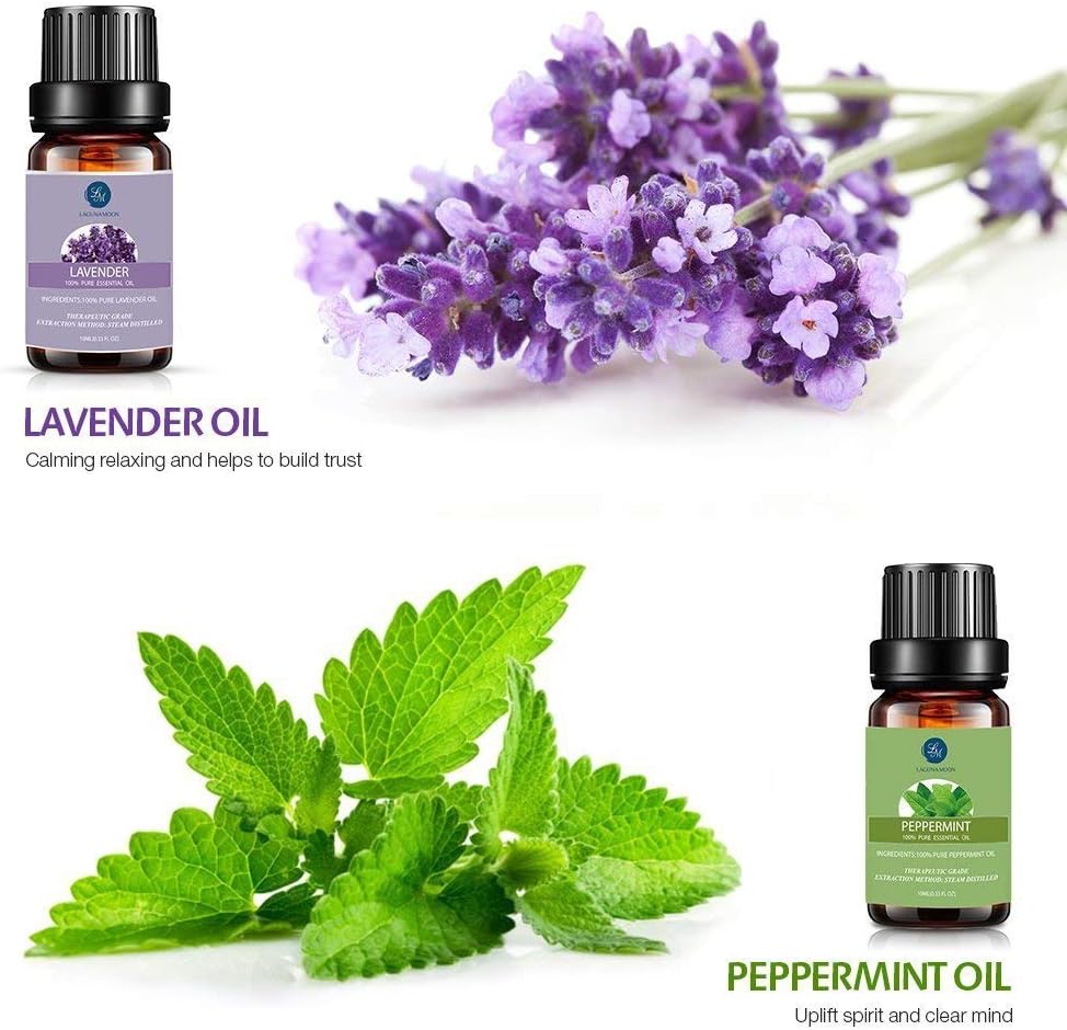 Lagunamoon Essential Oils Set, Aromatherapy Oils Set Includes Lavender, Tea Tree, Peppermint, Lemongrass, Orange, Rosemary, Frankincense, Lemon, Rosemary, Cinnamon, and Ylang-Ylang - Pack of 12, 10ml: Health & Personal Care