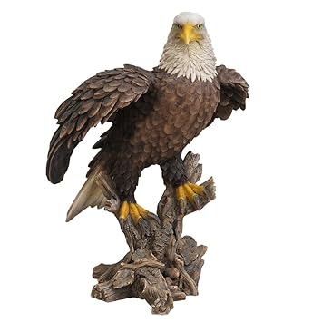 Buy Pacific Giftware Realistic Looking Majestic Bald Eagle On Stump Statue Detailed Sculpture Amazing Likeness Life Size Scale Resin Sculpture Hand Painted Statue Indoor Outdoor Decor Online At Low Prices In India majestic bald eagle