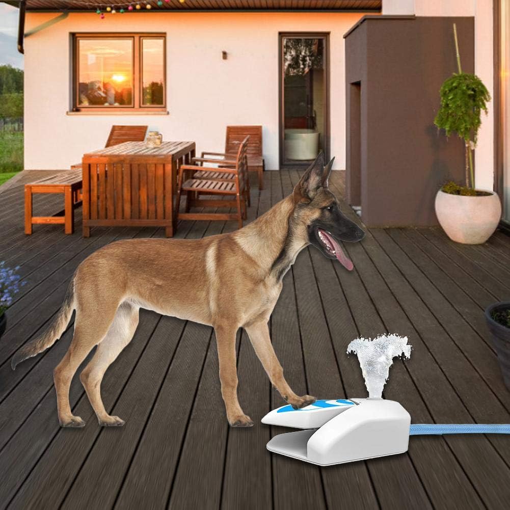 outdoor dog water dispenser