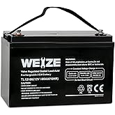 WEIZE 12V 100Ah Deep Cycle Battery, Group Size 31 Battery for RV, Solar, Camping, Cabin, Marine and Off-Grid System, 1150A Ma