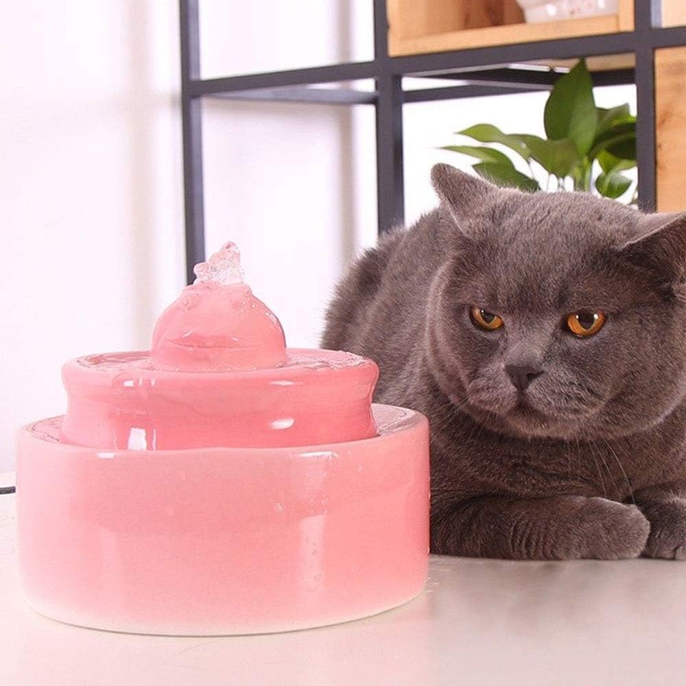 recirculating water fountain for cats