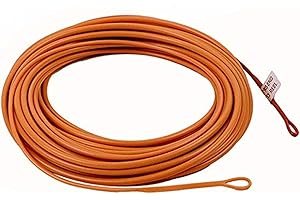 M MAXIMUMCATCH Maxcatch Skagit Shooting Head Fly Line 200GR-650GR 17FT-25FT with 2 Welded Loops