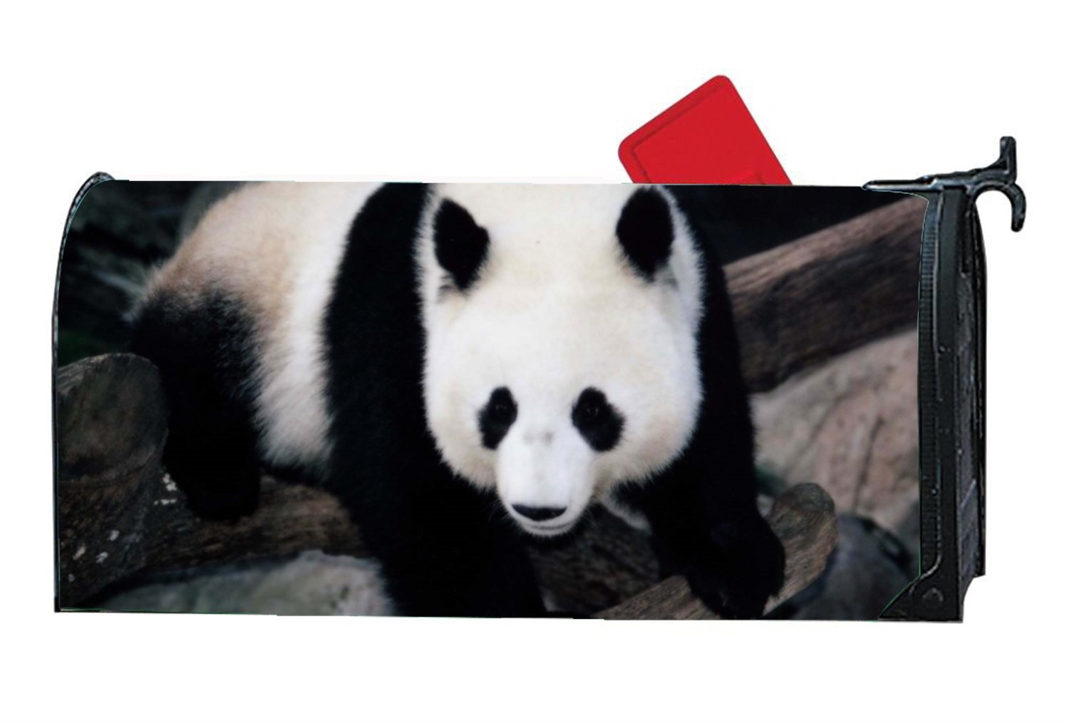 Download 8800 Koleksi Gambar Head Cover Terbaik HD