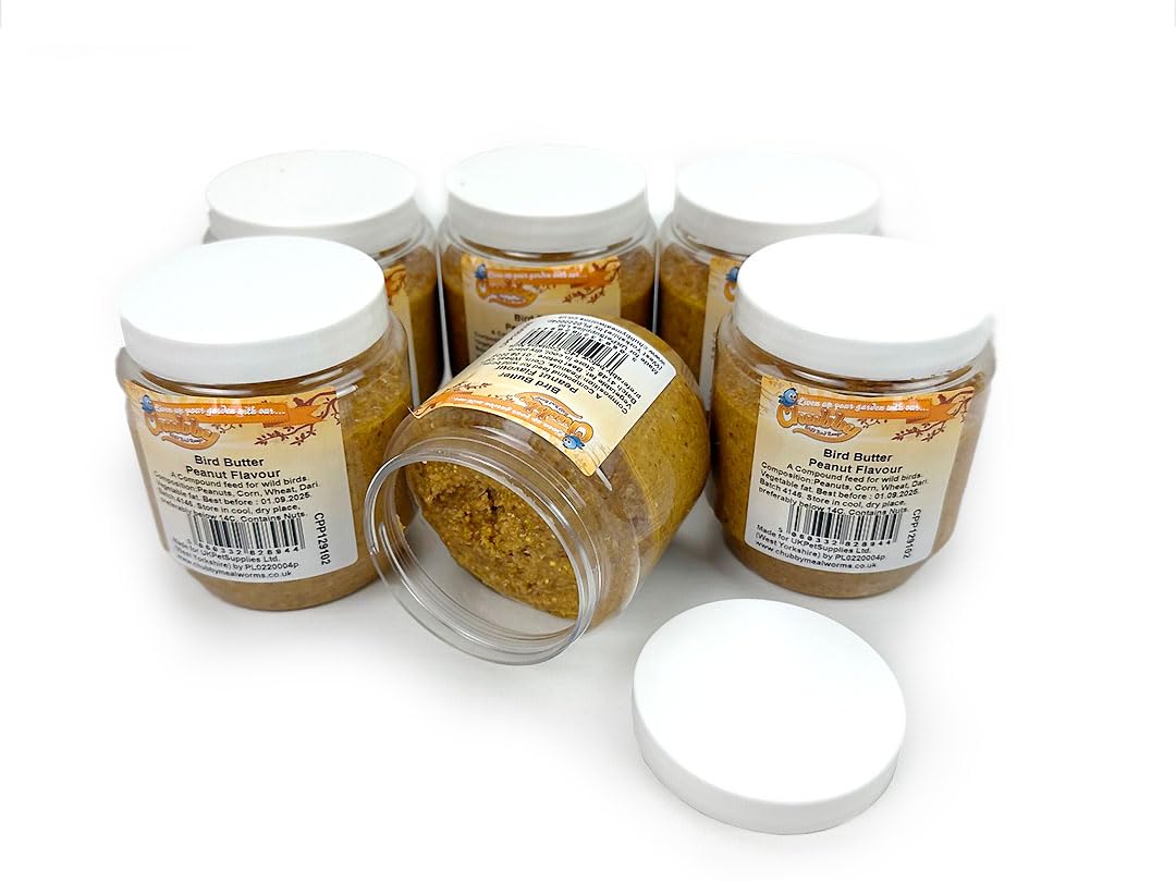 6 x Chubby Bird Butter - Peanut Flavour Wild Bird Food