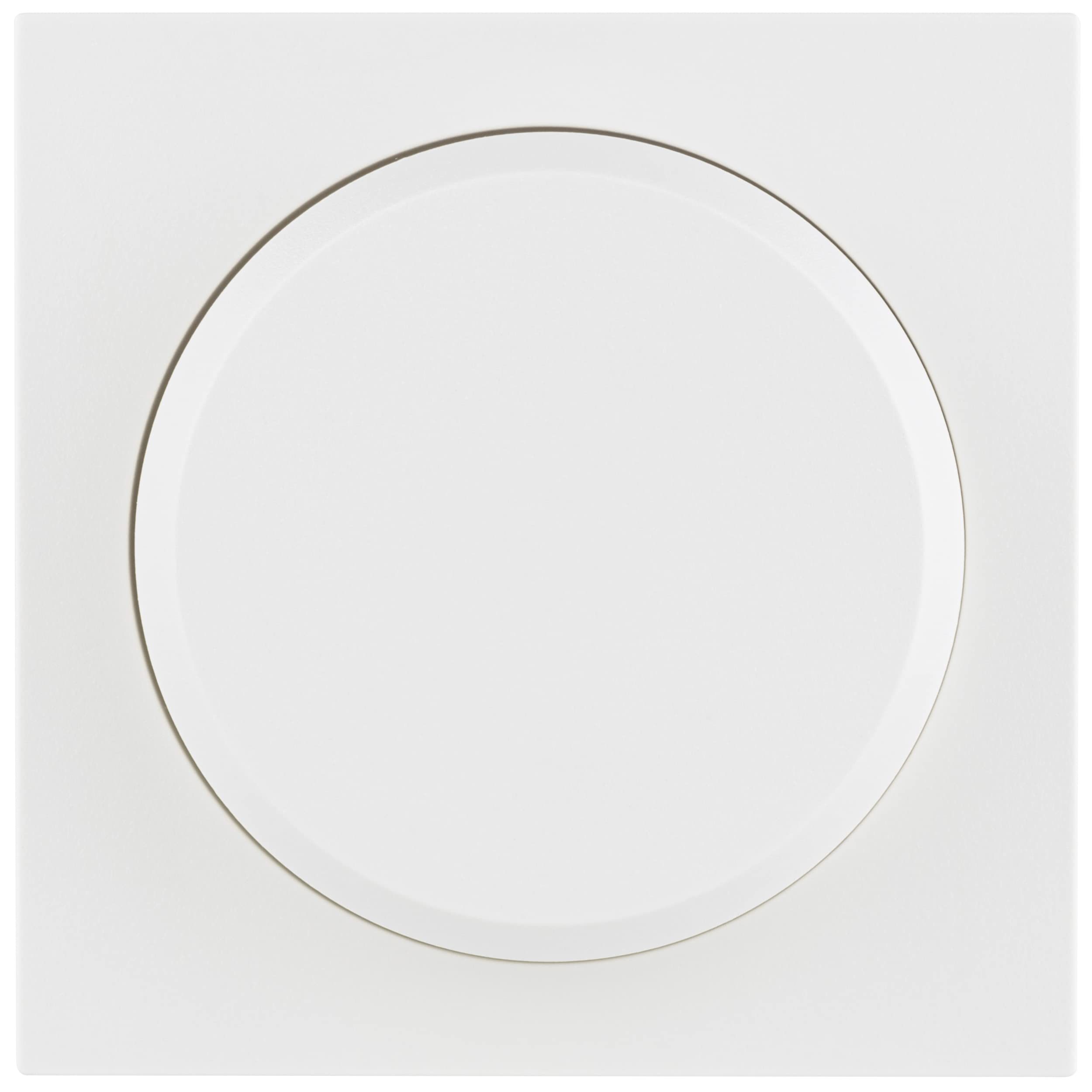 REV 0239700106 Matrix Cover Dimmer White Matt Surface-Mounted Installation — image 1