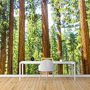 Wall Mural Forest Removable Wallpaper Wall Sticker for Bedroom Living Room - 66x96 inches