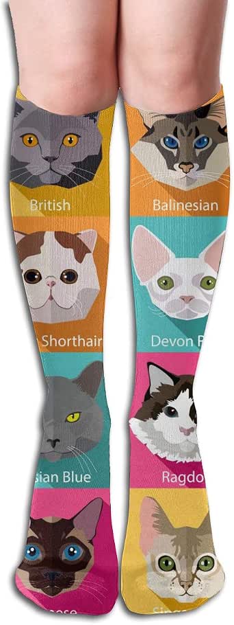 Como Hacer Ropa Para Gatos Con Un Calcetin