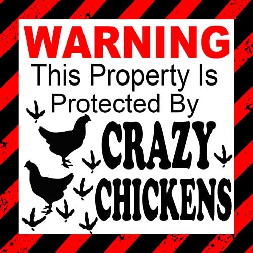 Warning this Property is protected by Crazy Chickens - Car, Window, Door ect Sticker