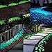 Glow Roxx - 100 Pcs (Blue) of Glow in the Dark Rocks Perfect Accent Pebbles for your Driveway, Pathway, Wedding Favors and Decorative Fairy Garden - As seen on Pinterest and Instagram …