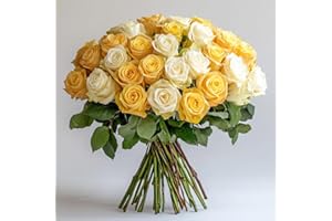 GlobalRose White & Yellow Fresh Cut Roses - 50 (2 Bundles of 25) Fresh Flowers Bouquet for Anniversary, Birthday or Home Decor - Flowers Delivery Gift