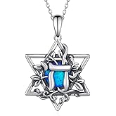 Fuguangju Star of David Necklace 925 Sterling Silver Jewish Star Necklace Jewish Jewelry Gifts for Women Men