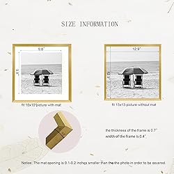 EVQUIT 13 x 13 Aluminum Picture Frame Metal Photo