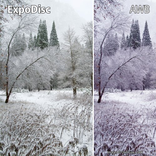 ExpoDisc EXPOD2-77 2.0 Professional White Balance Filter 77 mm, 82mm (Black)