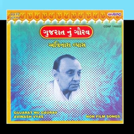 Essay gujarat nu gaurav 04 image